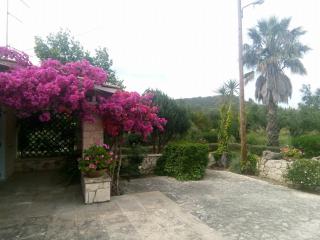 Casa Nostos - Tsilivi - 9