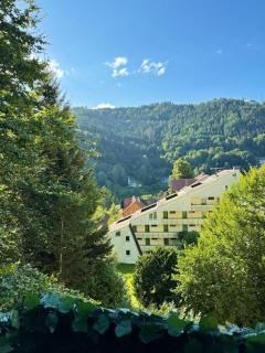 Black Forest Apartment - Bad Wildbad - 0