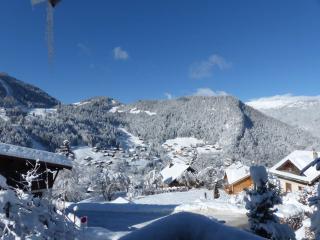 Alpee 1 - Appartement proche pistes de ski - La Clusaz - 8