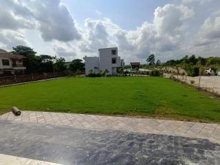 Corbett Tusker Meadows by White Flower - 7