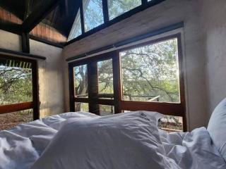Boomhuis, Bela-Bela, Mabalingwe - Bela-Bela - 6