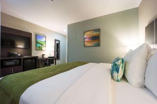Comfort Inn & Suites Tobago - Tobago - 9
