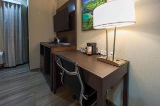 Comfort Inn & Suites Tobago - Tobago - 8