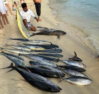 Lastcast fishing Charters - Pamplemousses - 7