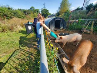 Dartmoor Reach Alpaca Farm Heated Cabins 5 mins drive to Dartmoor - 8
