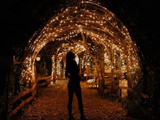 Treedom Villas and Vardos - Wilderness - 2