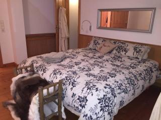 13A - Our dream apartment overlooking Hahnenkamm - 6