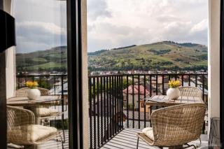 Belvedere Apartment - Gura Humorului - 1
