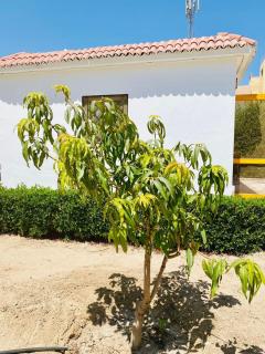 One room in a compound with the swimming pool - Hurghada - 3