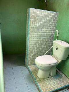 Eka's Bungalows - Maninjau - 7
