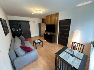 Cozy home near city centre - Praga - 7