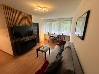 Cozy home near city centre - Praga - 8