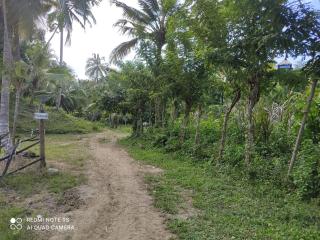 Hostal Brisas del Campo - 6