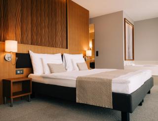 Deltapark Vitalresort**** - Thun - 9