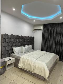 Dallas Luxurious VI 3 bedroom apartment - Lagos - 1