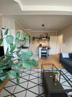 K2-Project - Gipfelstürmer - Über den Dächern von Schloßchemnitz - 9