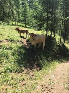 Les Orres Appartement dans le hameau du Mélezet - Les Orres - 3