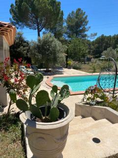 Suite Le citronnier - La Motte - 6