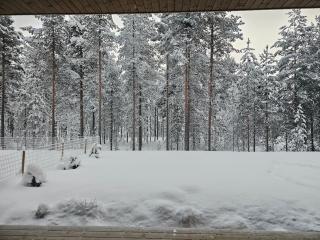 Forest Retreat Apartment - Rovaniemi - 8