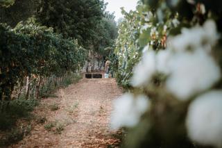 Finca Es Cabàs - 4