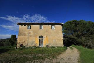 Agriturismo Il Piastrino - Vinci - 6