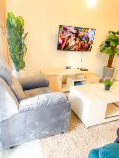 Cozy Residence III 2bedroom Apartment near Speke Resort - Kampala - 0