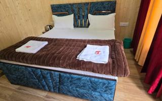 Yamuna Pug Pinewood Greh by StayApart - 7