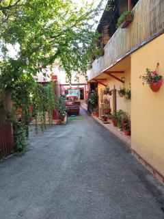 Casa Rebeca - Neptun - 9