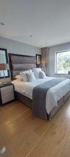 Sophisticated Seafront 3BD Suntrap Landscaped Yard - Dublin - 3