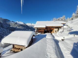 Chalet les Brevins - Manigod - 1