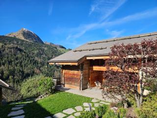 Chalet les Brevins - Manigod - 9