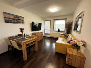Mountain Apartment Resident - Relaxace s wellness, terasou, soukromou garáží a možností bufetové snídaně za příplatek - Harrachov - 5