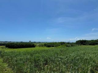M&Y Ishigaki Island / 3 Bedroom House - Isola di Ishigaki - 9