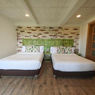 Zenith Bed & Breakfast - Pereira - 1