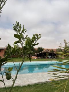 Villa Zaouiat - Ben Guemoud - 7