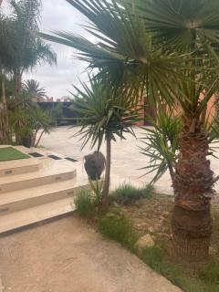 Villa Zaouiat - Ben Guemoud - 1