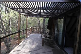 Treehaven Retreat - 6