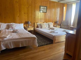 Morena Mansion - Murighiol - 9