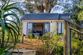 Sedgelow - Sedgefield - 3