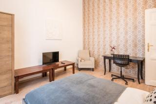 Central Comfy Large Apartment - Budapest - 4