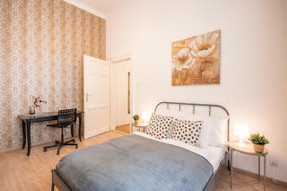 Central Comfy Large Apartment - Budapest - 3