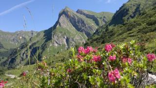 Ferienhaus Anger - Oberstdorf - 4
