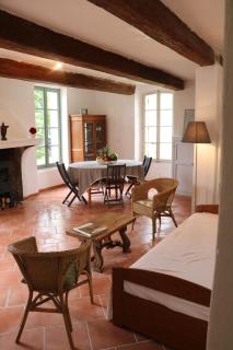 Mas Provencal Monteux 84170 - Althen-des-Paluds - 6