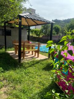 taisya guest house - Borjomi - 2