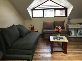 ACOGEDOR DEPARTAMENTO EN CENTRO HISTÓRICO-Cuenca - Cuenca - 8