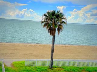 Sea Shell Inn on the Beach - Corpus Christi - 1