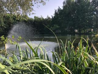 Le Cottage de l etang - Bourbourg - 7