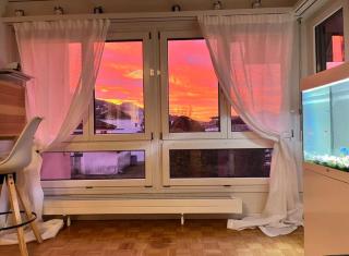 Cozy apartment in Lachen - Lachen - 4