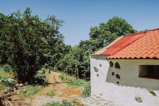 El Pino Centenario 4B - La Perdoma - 2