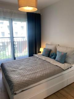 Apartament Wrocław, centrum, SPA i siłownia - Wrocław - 6